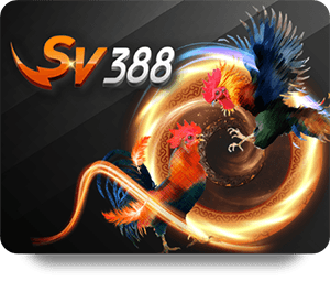 SBOTOP Live Dealer Hot Promotions to Enhance Your Gaming Experience
